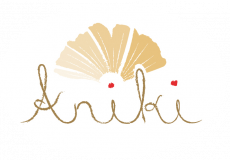 Aniki Studio