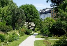 Botanischer Garten Universität Wien