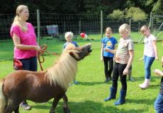 AnimalTrainingCenter